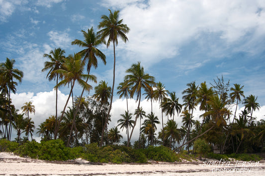 Print - Zanzibar, Tanzania - Matemwe Beach 6