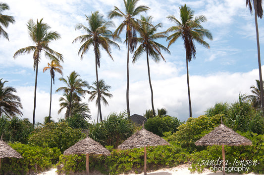 Print - Zanzibar, Tanzania - Matemwe Beach 7