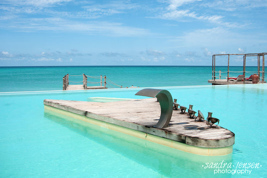 Print - Zanzibar, Tanzania - Essque Zalu Hotel, Nungui