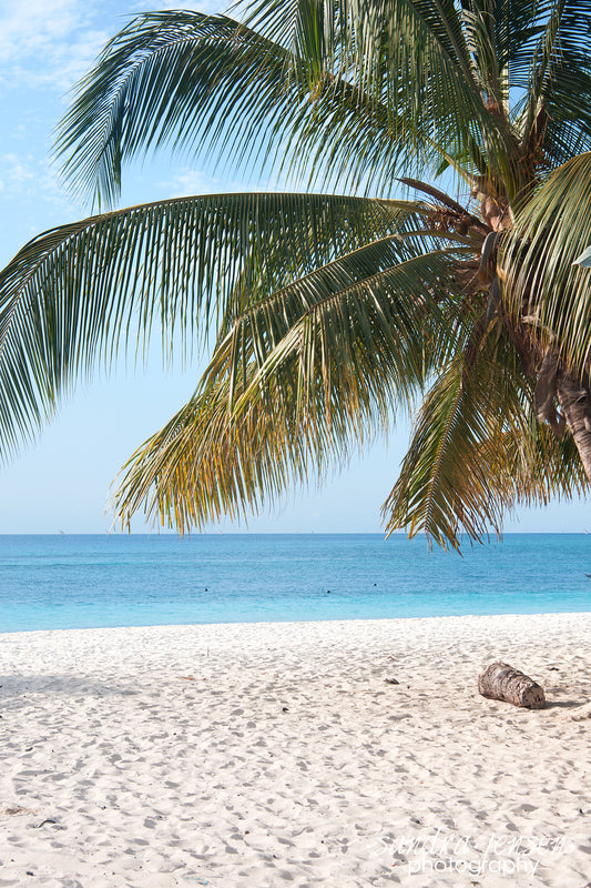 Print - Zanzibar, Tanzania - Nungui Beach 4