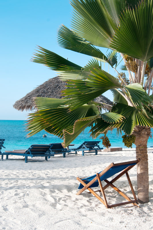 Print - Zanzibar, Tanzania - Nungui Beach 7