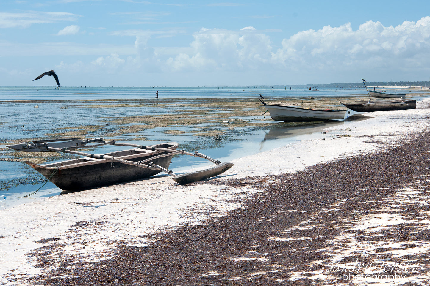 Print - Zanzibar, Tanzania - Matemwe Beach Boats 3