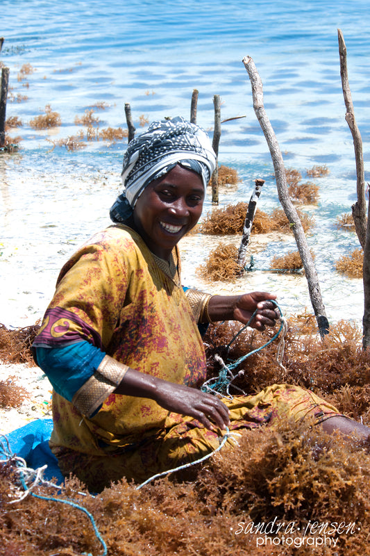 Print - Zanzibar, Tanzania - Woman Cultivating Seaweed at Matemwe Beach 3