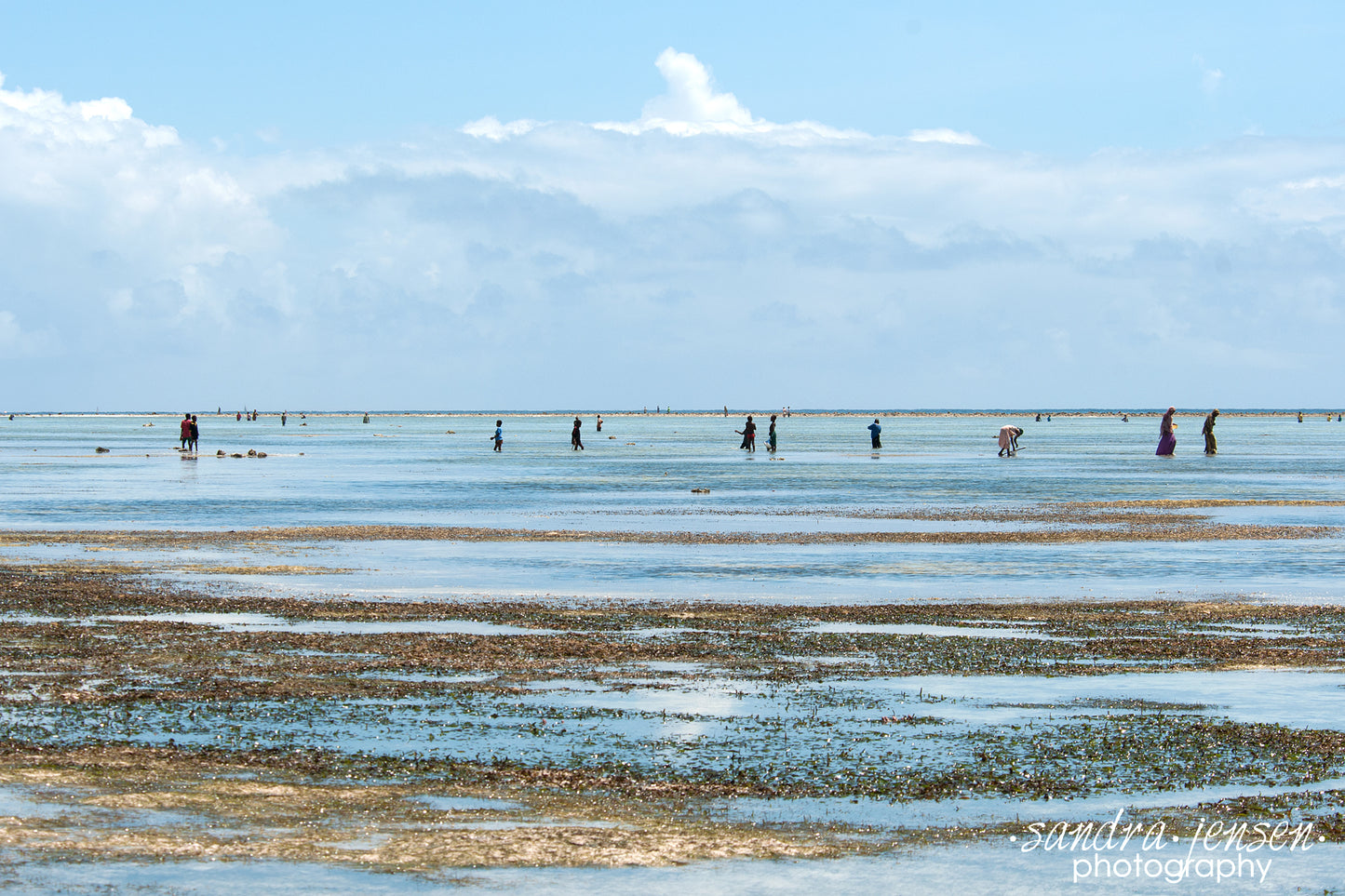 Print - Zanzibar, Tanzania - Fishing in Water of Matemwe Beach
