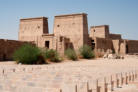 Print - Egypt - Aswan Philae Temple 18