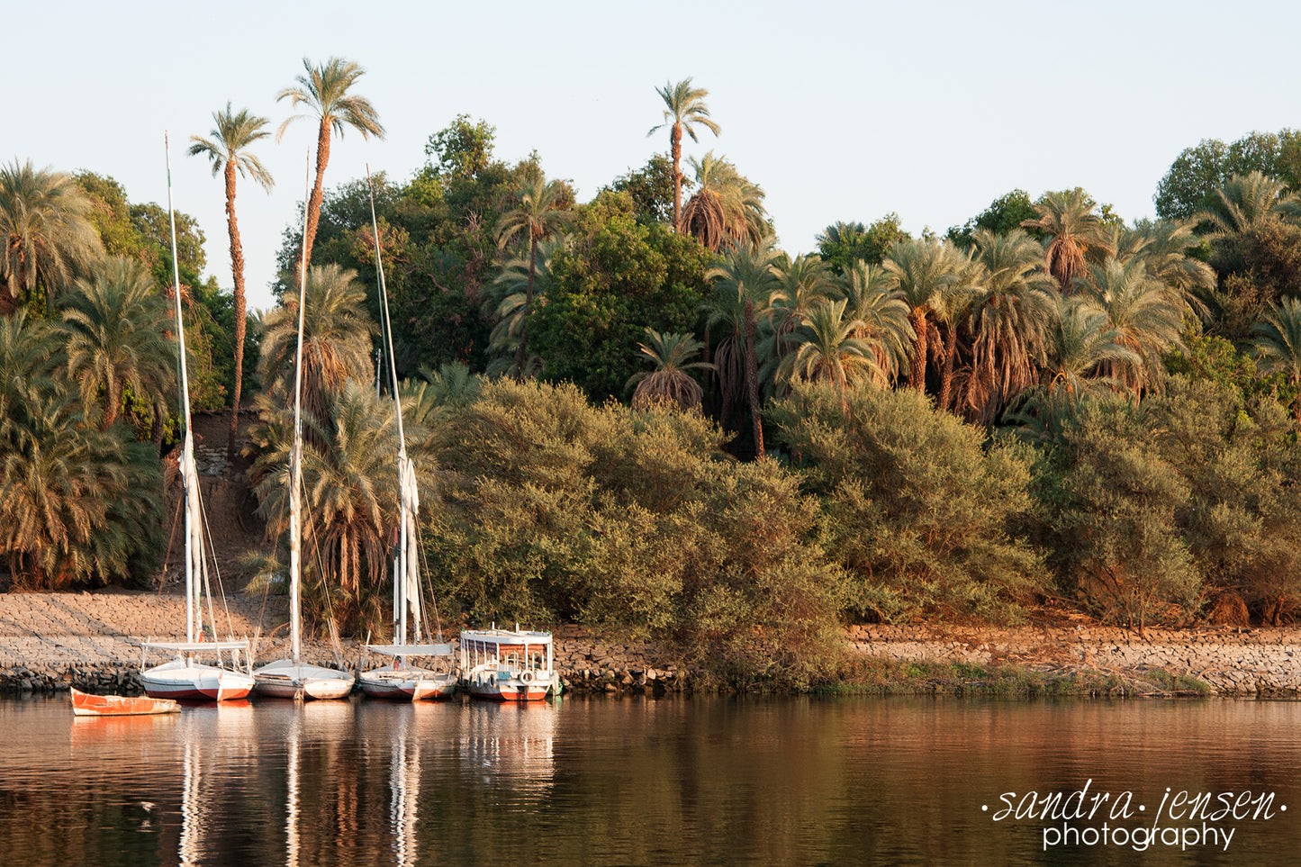 Print - Egypt, Aswan - The Nile 2