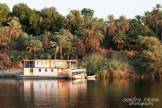 Print - Egypt, Aswan - The Nile 4