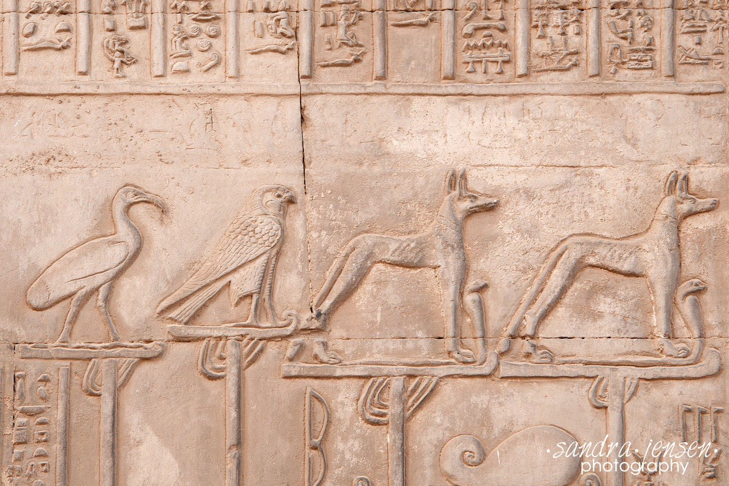 Print - Egypt, Aswan - Kom Ombo Temple 15