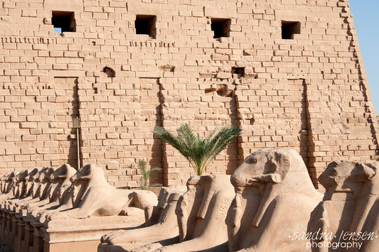 Print - Egypt, Luxor - Karnak Temple 4