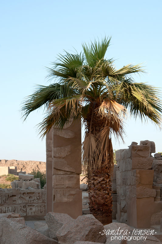 Print - Egypt, Luxor - Karnak Temple 14