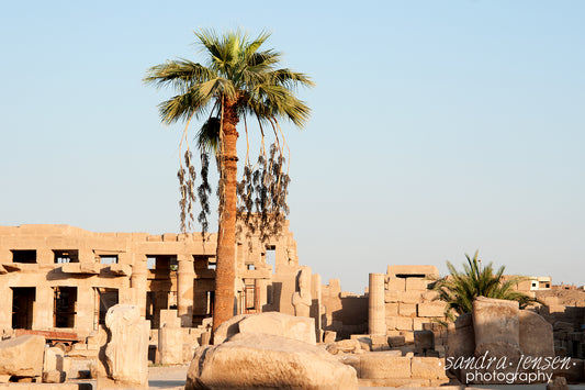 Print - Egypt, Luxor - Karnak Temple 16