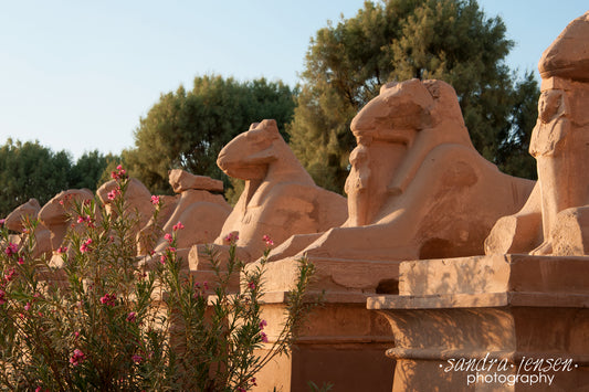 Print - Egypt, Luxor - Karnak Temple 17