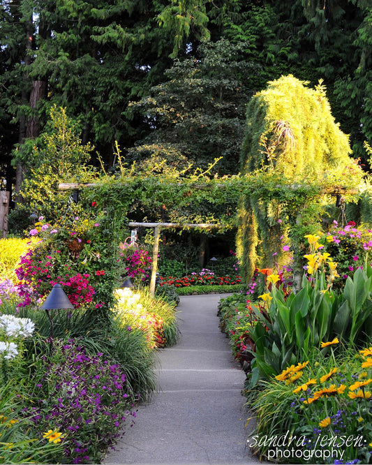 Print - Butchard Gardens, Victoria, BC