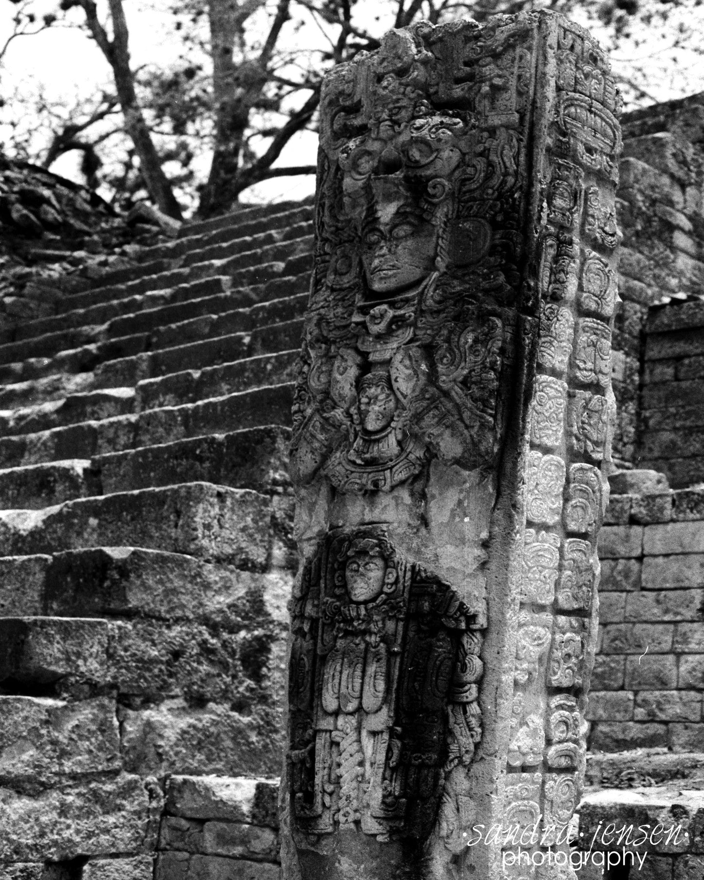 Print - Guatemala "Tikal Stella"
