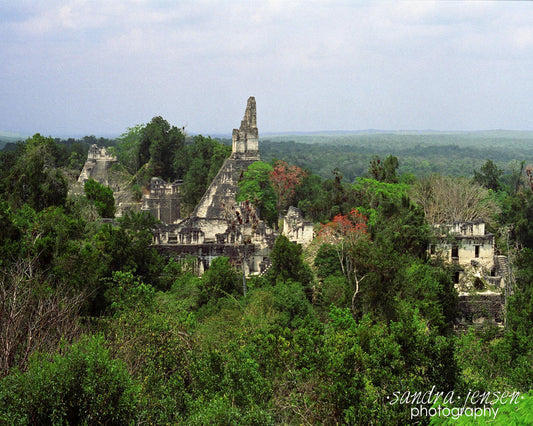 Print - Tikal, Guatemala