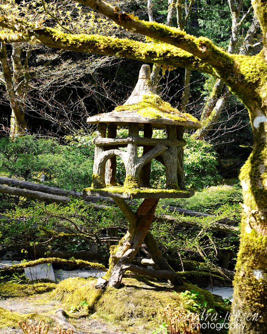 Print - Japanese Garden, Victoria, BC