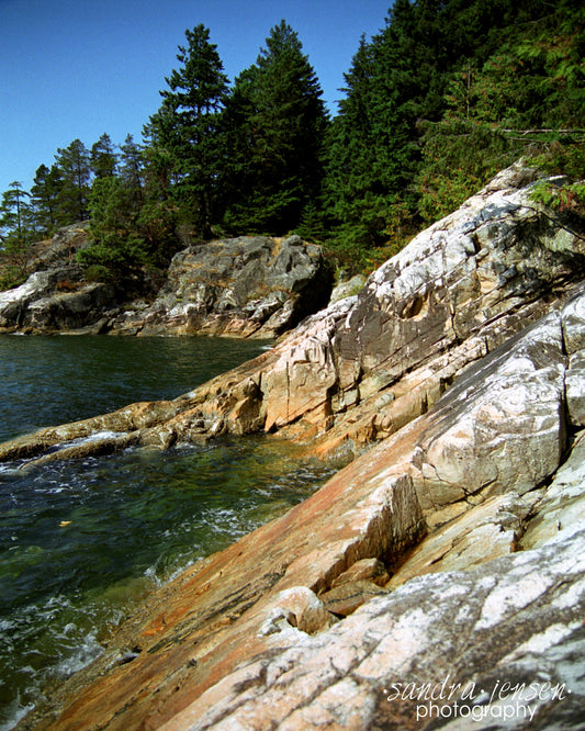 Print - Lighthouse Park