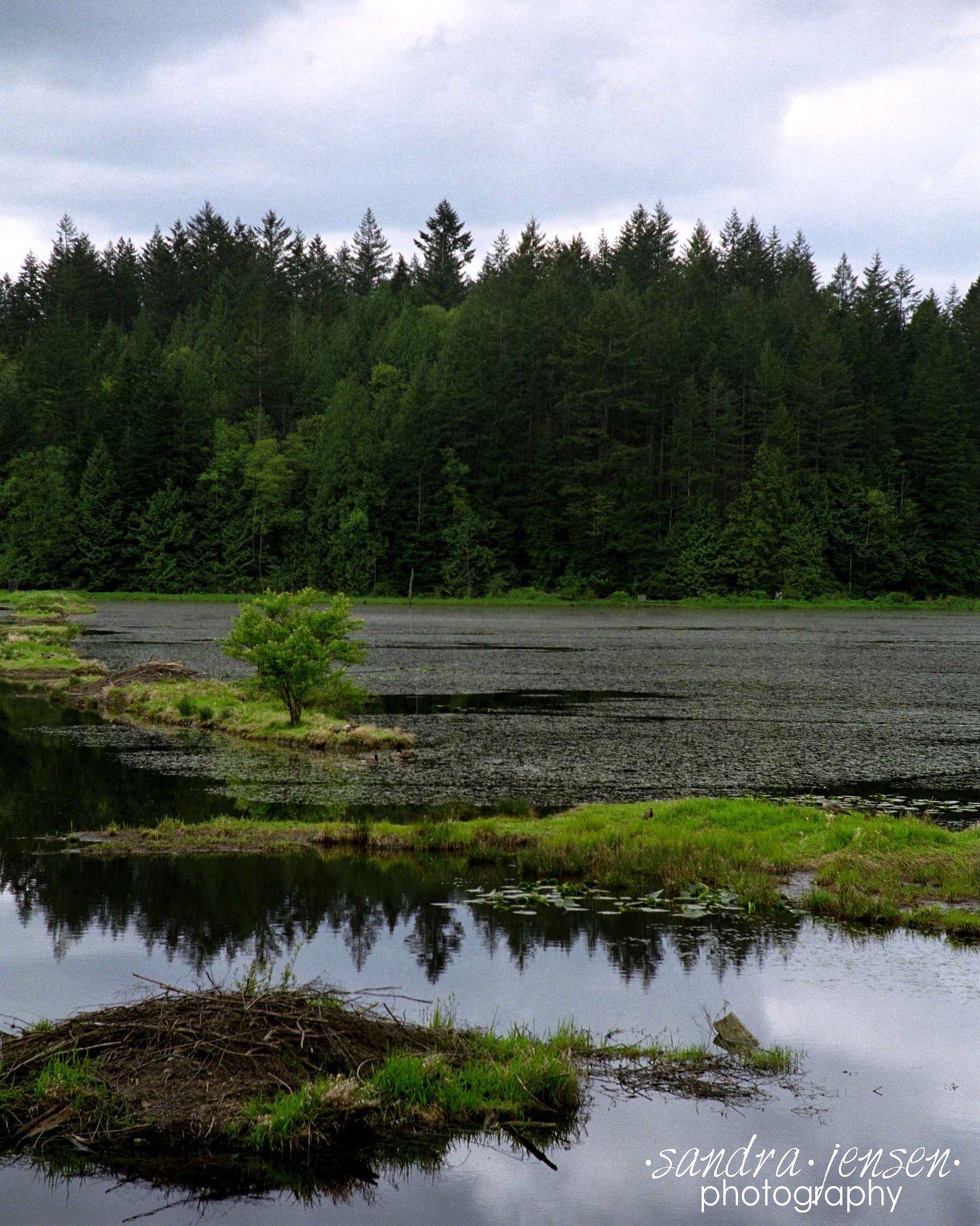 Print - Minnikhada Park