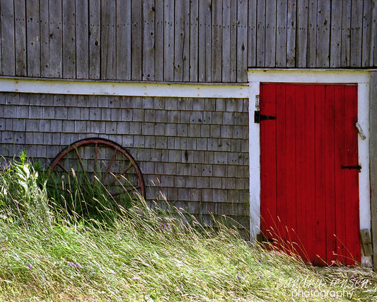 Print - Red Barn Door