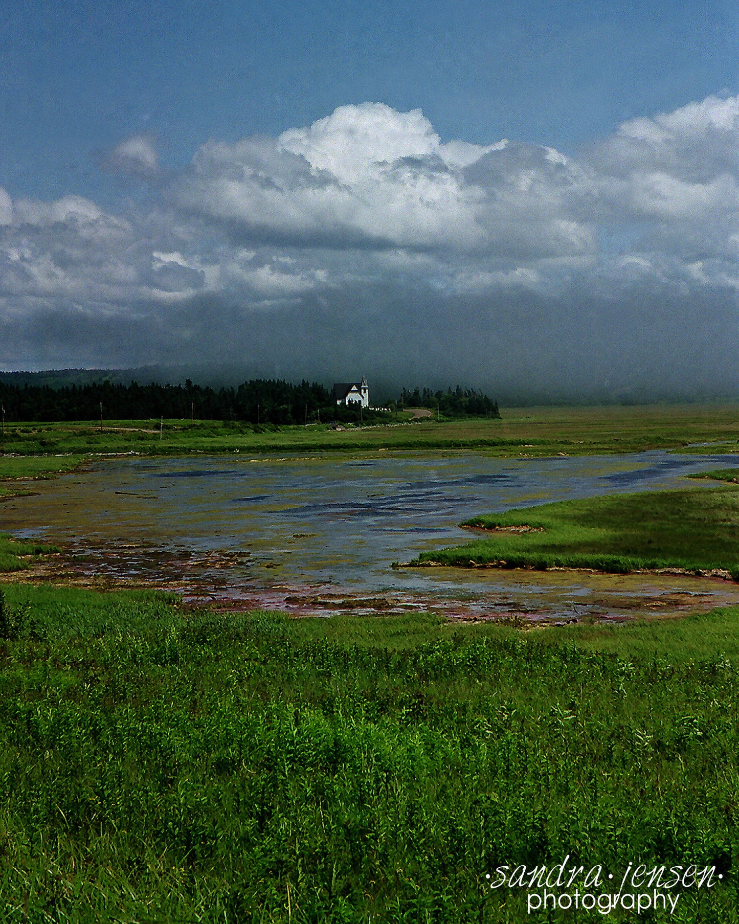 Print - New Brunswick Coastline