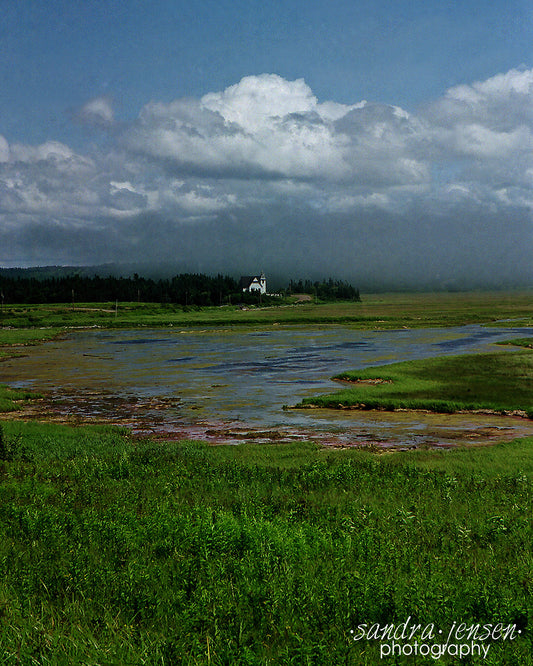 Print - New Brunswick Coastline