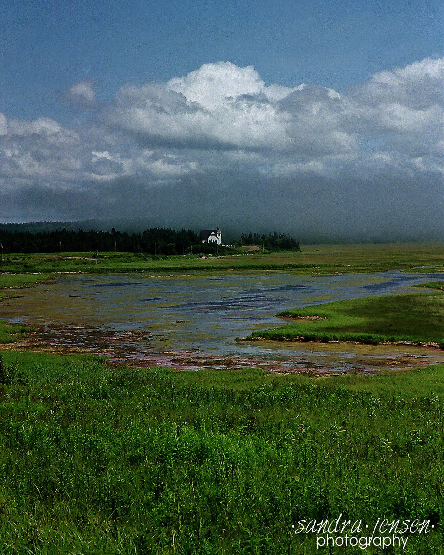 Print - New Brunswick Coastline
