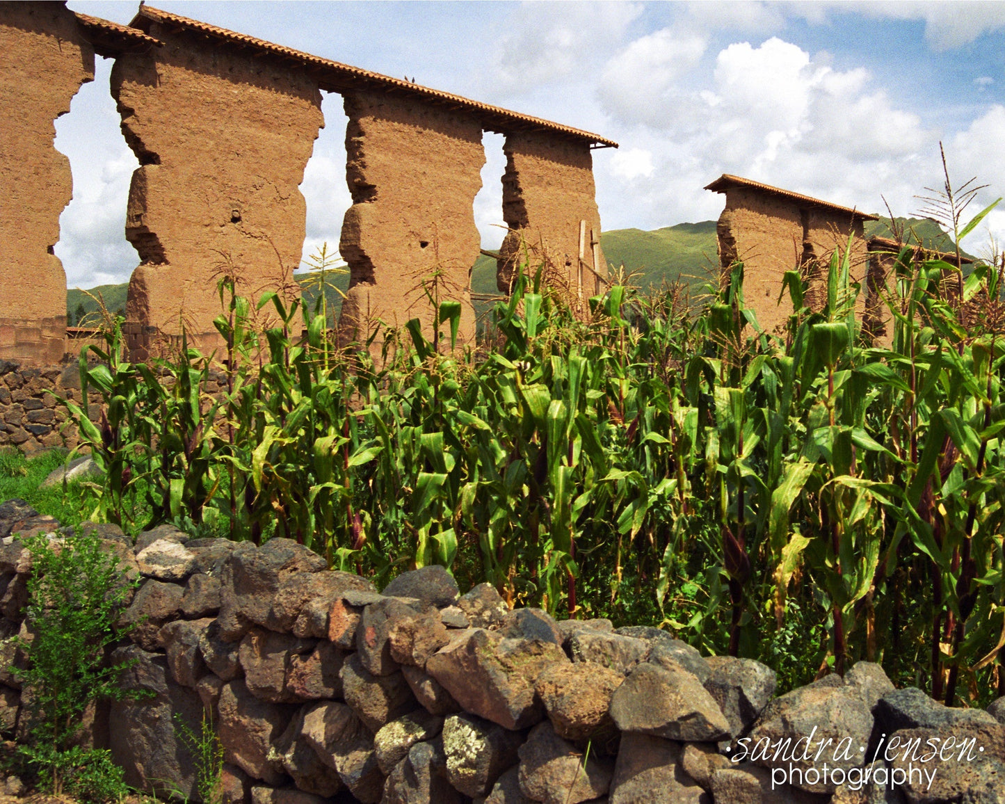 Print - Peru "Temple of Wiracocha"