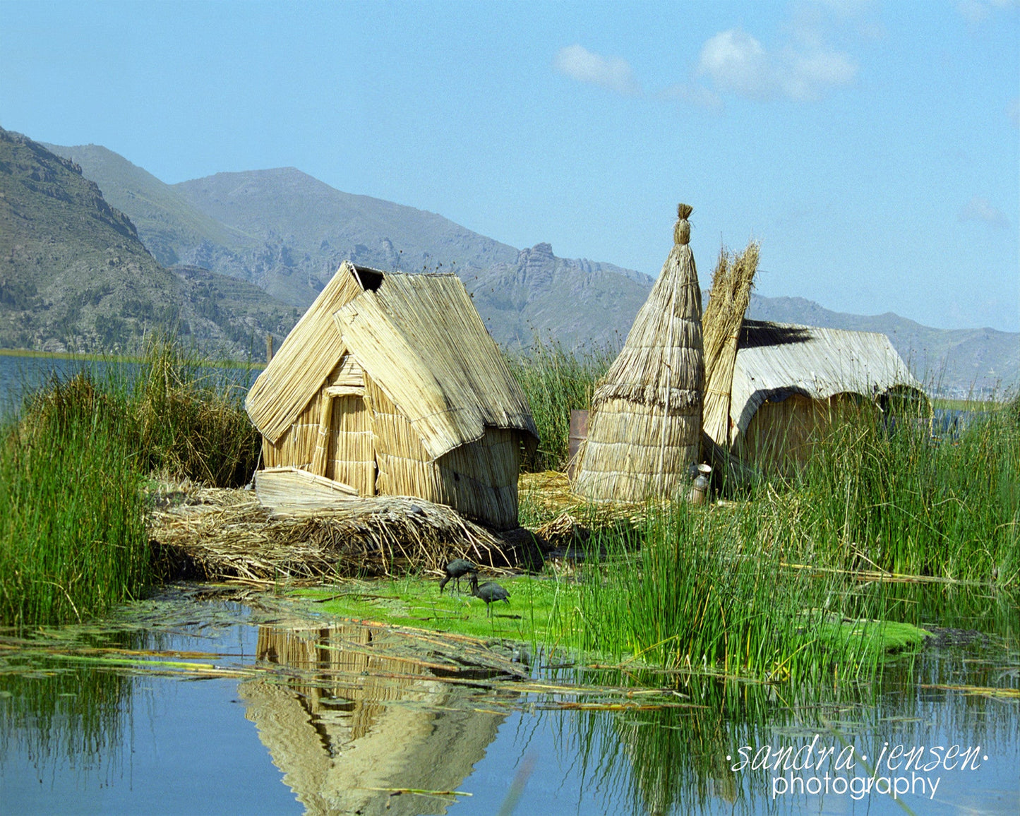 Print - Peru "Uros of Lake Titicaca"