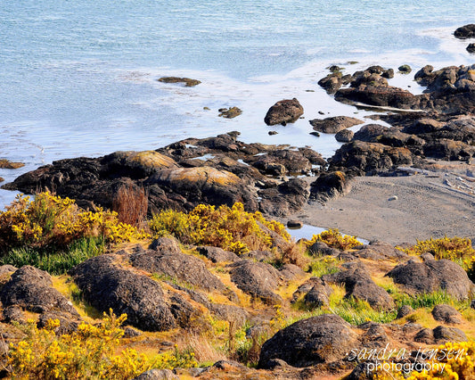 Print - Victoria Coast