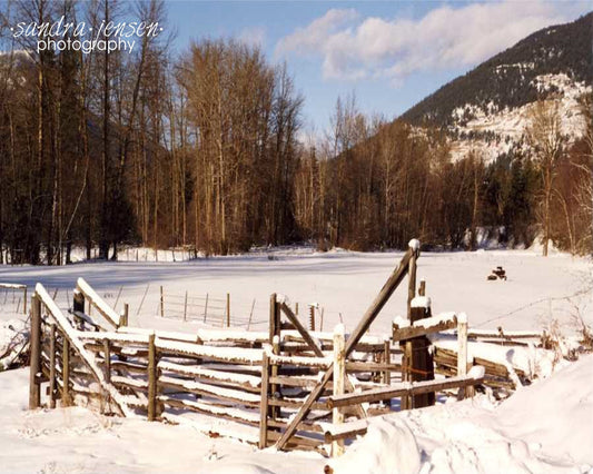 Print - Winter in Falkland, Canada